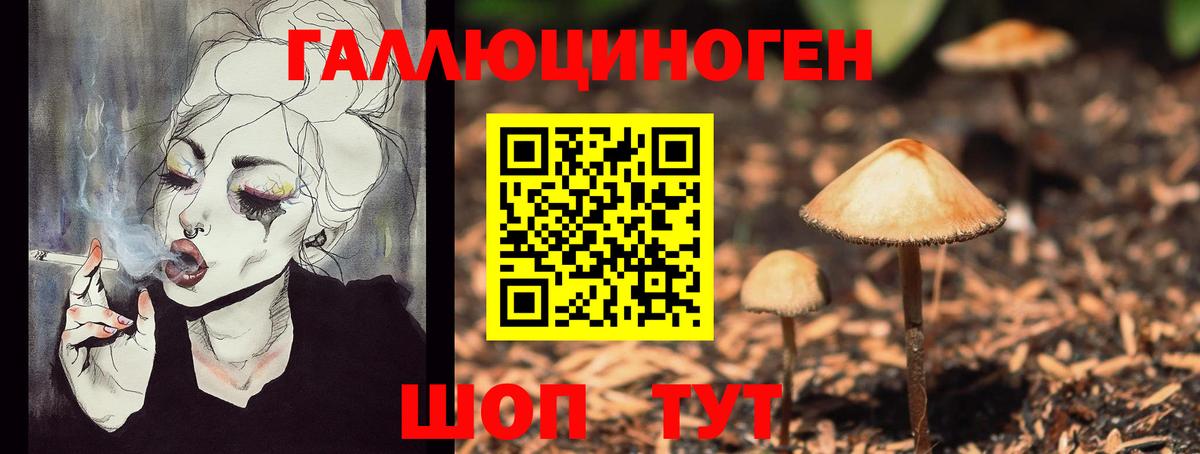 Псилоцибиновые грибы Psilocybine cubensis  Вход с VPN  Псилоцибиновые грибы MAGIC MUSHROOMS  Каменск-Уральский 